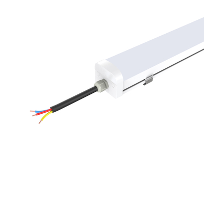 Dualraysd3 Reeks 40W Traditionele 2 in 1 LEIDENE Damp Lichte IP66 IK08 Bescherming 5 Jaar Garantie