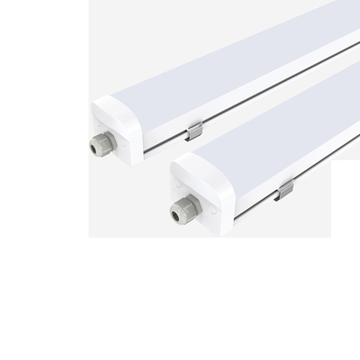 Dualraysd3 Reeks 40W Traditionele 2 in 1 LEIDENE Damp Lichte IP66 IK08 Bescherming 5 Jaar Garantie