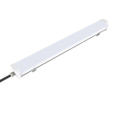 Dualraysd3 Reeks 40W Traditionele 2 in 1 LEIDENE Damp Lichte IP66 IK08 Bescherming 5 Jaar Garantie