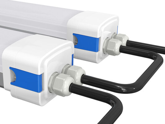 DUALRAYS D5 LED vochtbestendige lamp met DIP schakelbare vermogen / 3CCT 160LPW efficiëntie