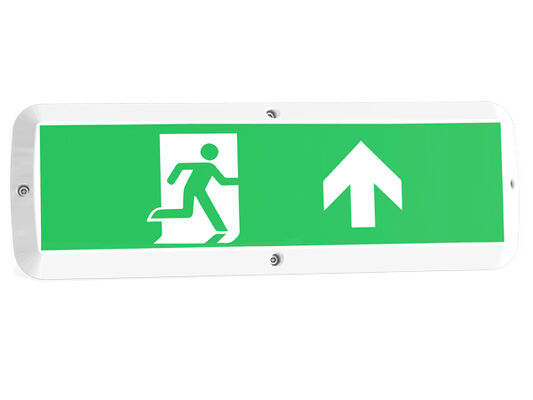 8W Bulk Head LED Veranda Light met noodfunctie en bewegingssensor IP65