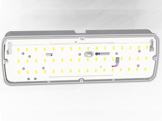 Bulk Head LED-verandalamp 8W met 3CCT en schakelbaar
