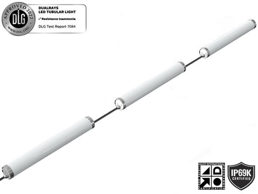 DUALRAYS LIGHTING MTB6 LED Marine buislamp IP66 IP69K IK10 Bescherming gemaakt van hoogwaardige niet-corrosieve materialen - PMMA, polycarbonaat en 304/316 roestvrij staal