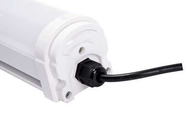 LEIDEN tri-Bewijs Lichte 120LM/W IP66 IK10 AC100~277V met 5 Jaar Garantie