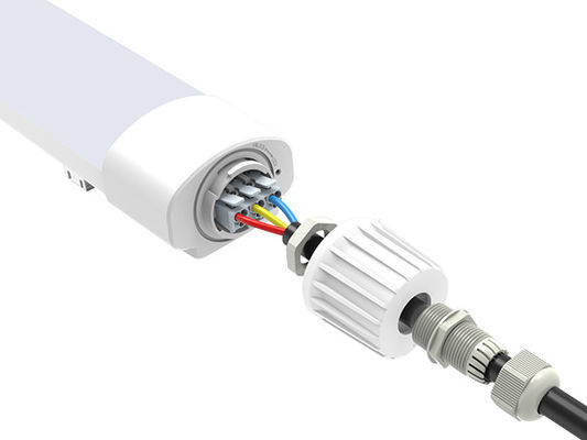 Van de Controle Beschikbare PIR Sensor Tri Proof Light van de Dualraysd2 Reeks 20W Intellegent Geleide Lichten 2ft IP66 Met een laag bedekt Luminaire