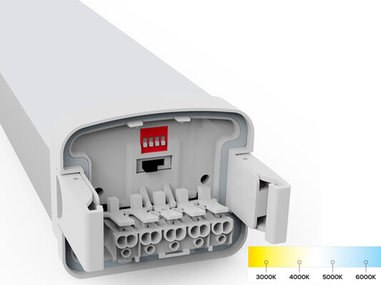 D5 LED vochtbestendige lamp met DIP-schakelbare stroom en 3CCT 3/5*1.5/2.5mm2 Bedrading via optioneel